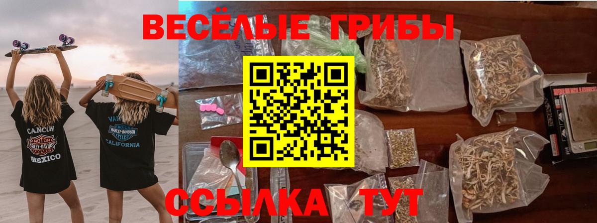 Псилоцибиновые грибы Cubensis Сокол